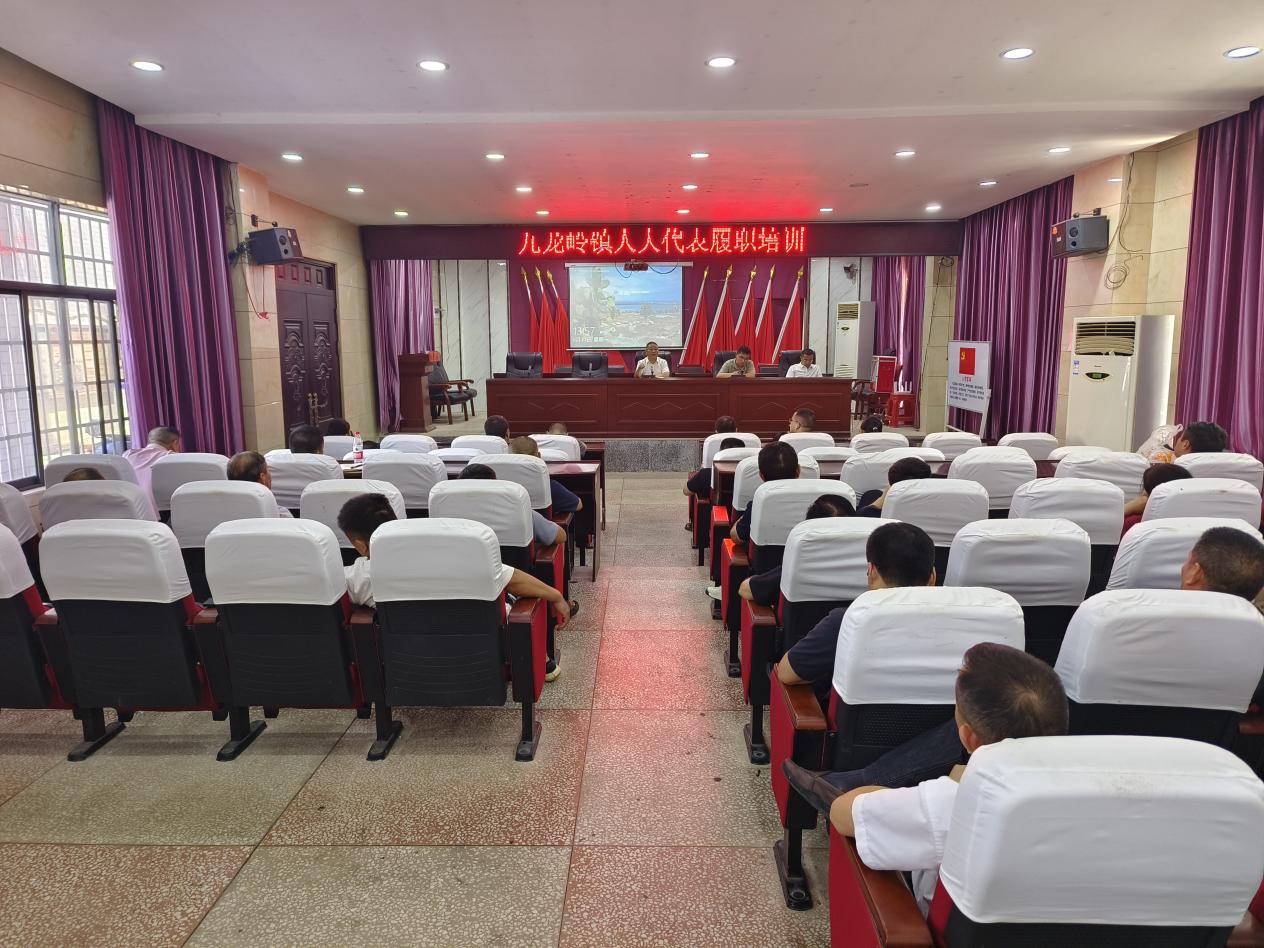 邵东市九龙岭镇组织人大代表集中学习“三会三文”精神