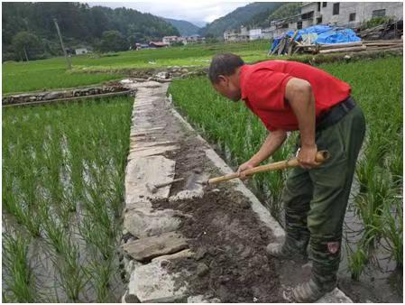 城步：“傻”代表舍田铺路 村民种地更便捷