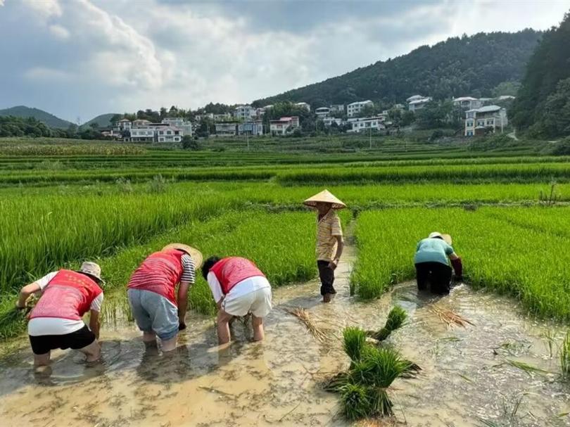 湘信院学子赴新宁：一场青春与乡村的“双向奔赴”