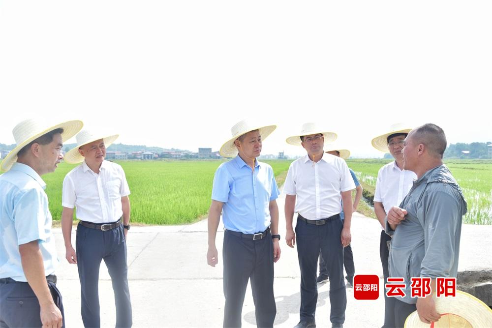严华在武冈市巡田并调研粮食生产、耕地保护工作
