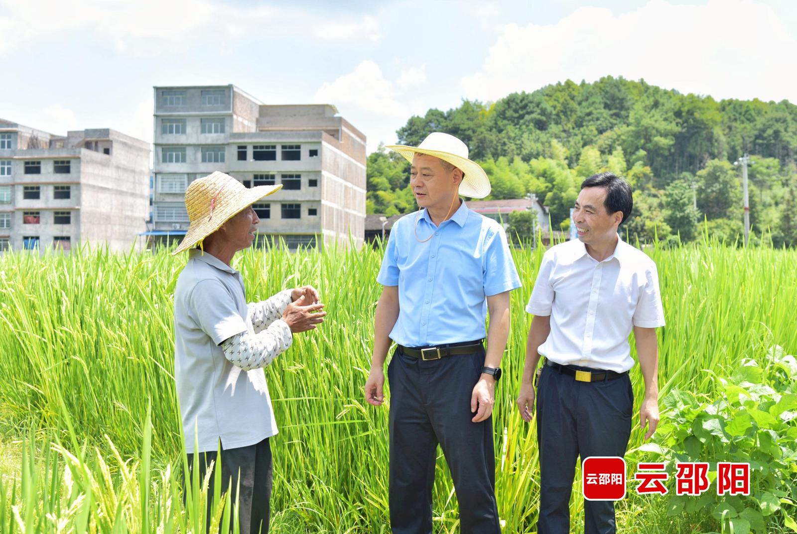 严华在绥宁调研督导有效衔接、生态环境保护等工作