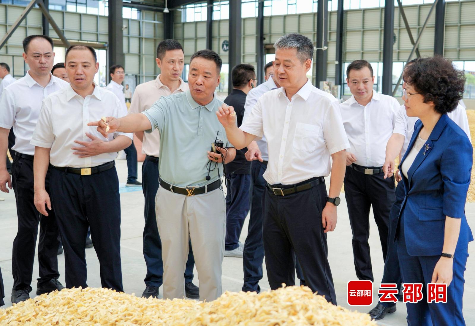 邵阳市二季度产业链群建设现场推进会召开