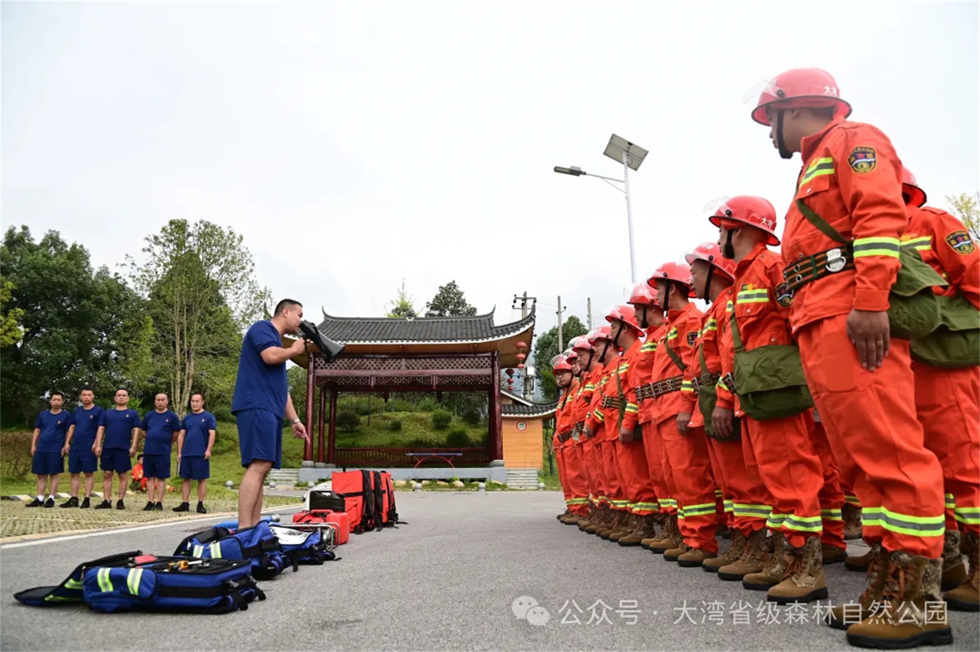 洞口县大湾国有林场开展“131”机制实战演练 筑牢森林防灭火安全防线