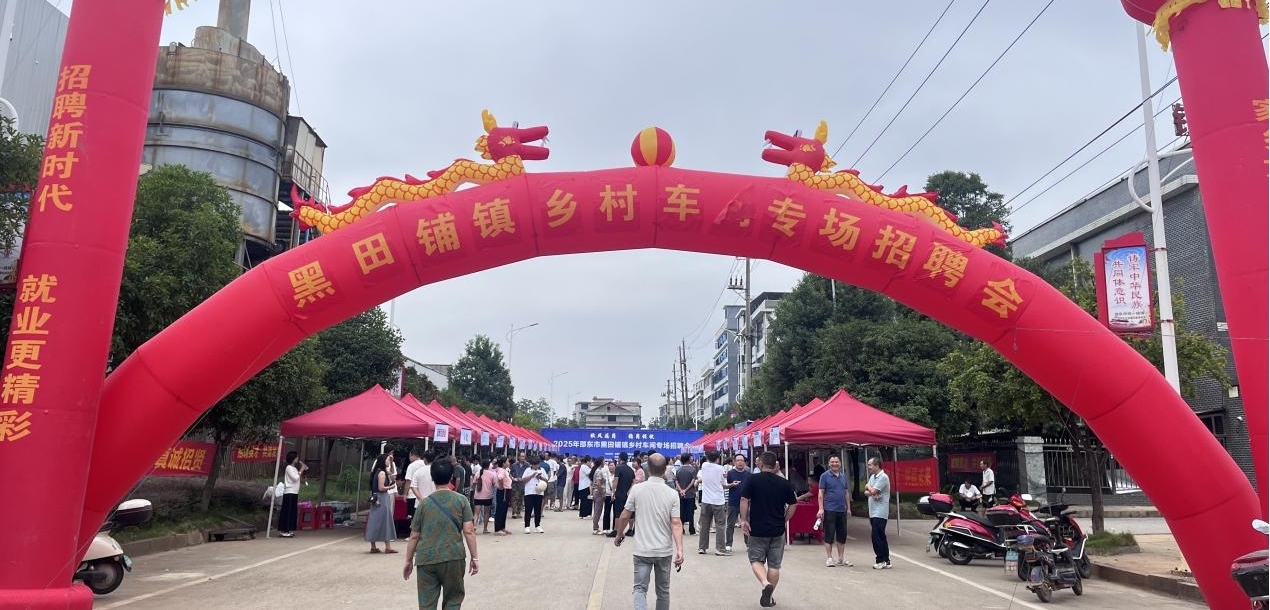 邵东市举办乡村振兴专场招聘会：秋风送岗促就业 精准服务助振兴