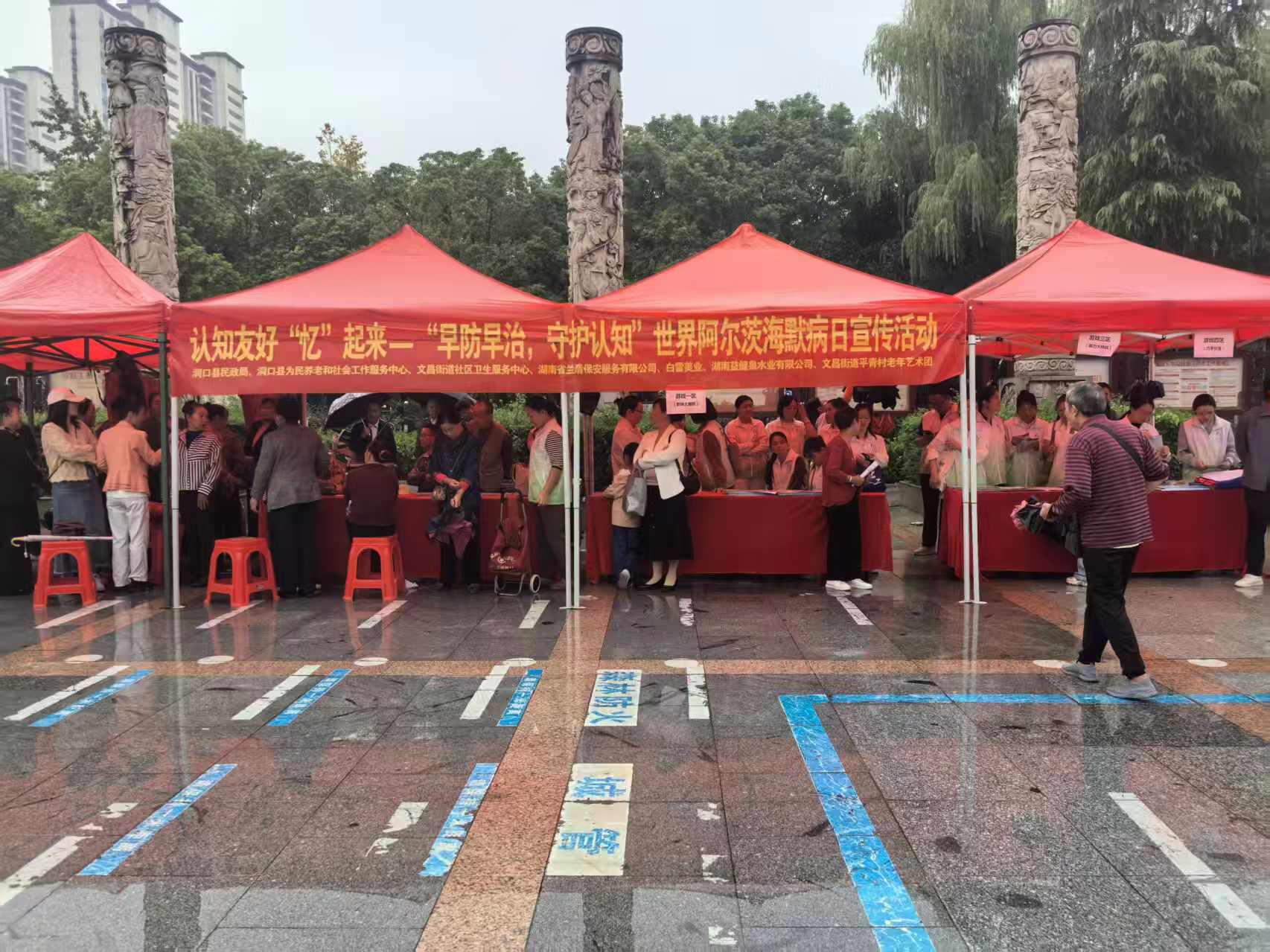 洞口县文昌街道社区卫生服务中心开展阿尔茨海默病日宣传活动