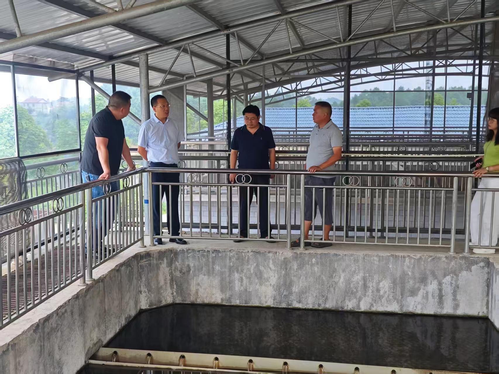 洞口县水利局扎实推进农村安全供水保障工作