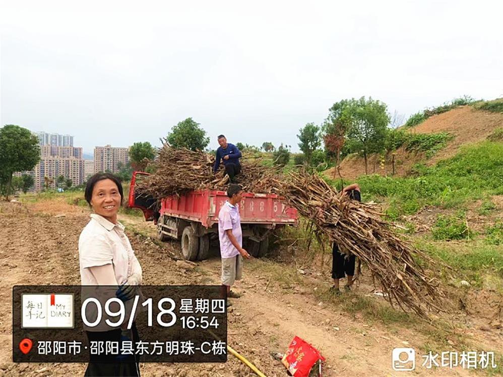 邵阳县莲湖社区“秸”尽所能护蓝天