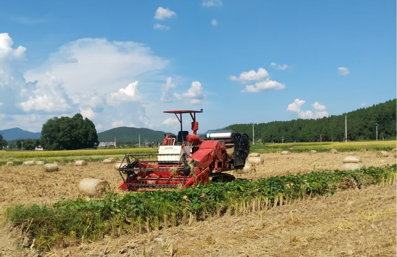 洞口县：秸秆处理“新路子” “五指成拳”护蓝天