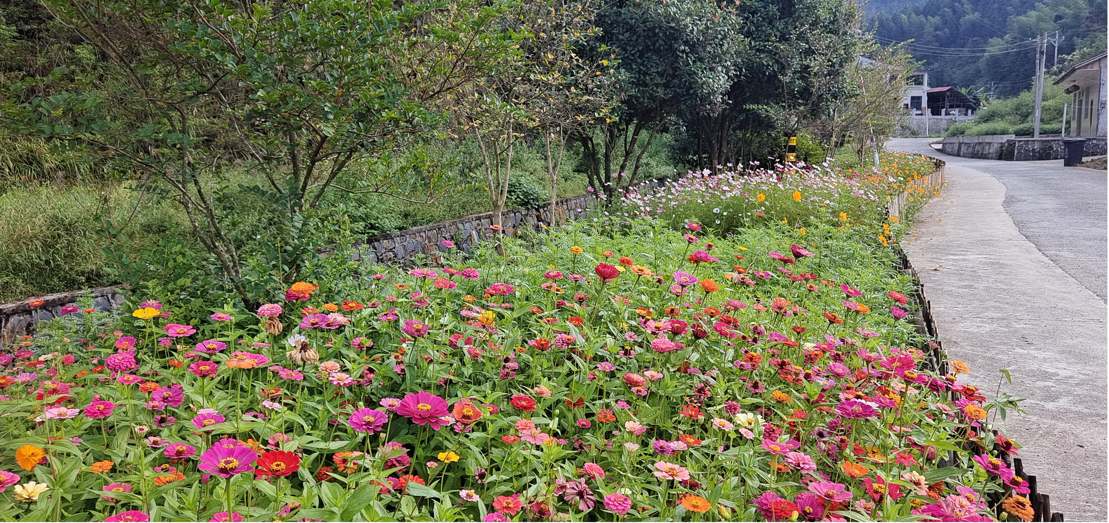 洞口县渣坪乡：乡村善治有妙招 绣出和美新画卷