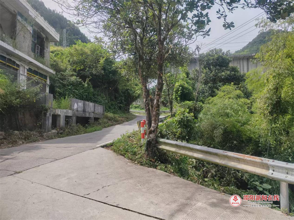 洞口县长塘瑶族乡长塘村：人居环境“靓”起来，甜蜜产业“旺”起来
