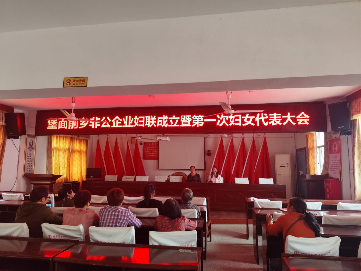 邵东市堡面前乡：非公企业妇联第一次妇女代表大会顺利召开