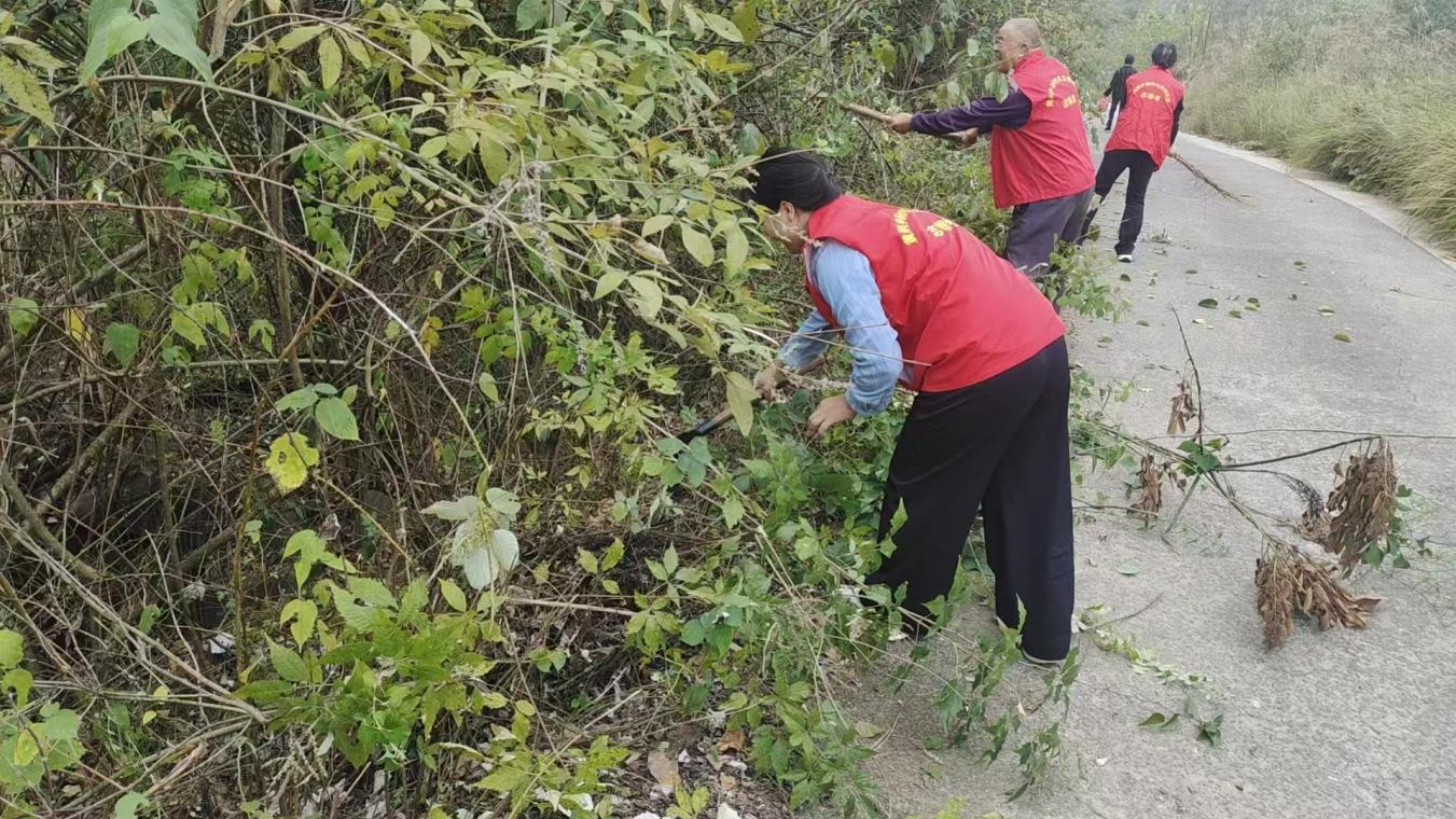 邵阳县黄荆乡大付村开展道路除草除枝专项行动