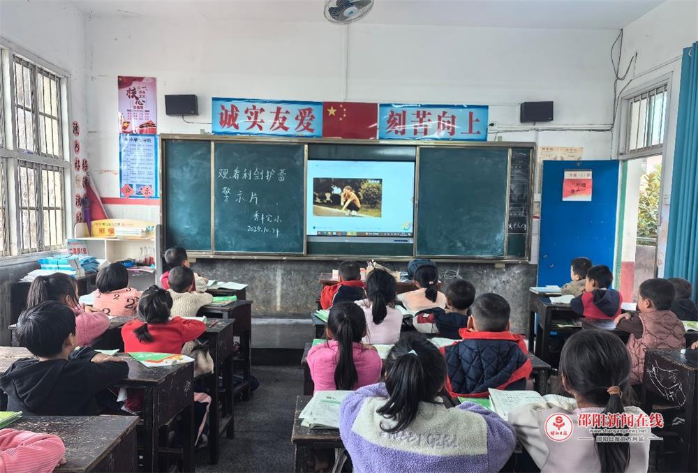 洞口县竹市镇秀丰完小组织观看《利剑护蕾》警示片活动