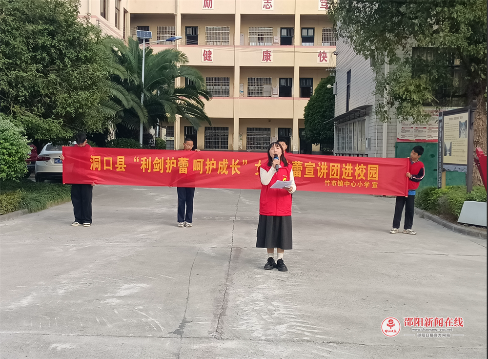 洞口县护蕾宣讲团为校园安全护航