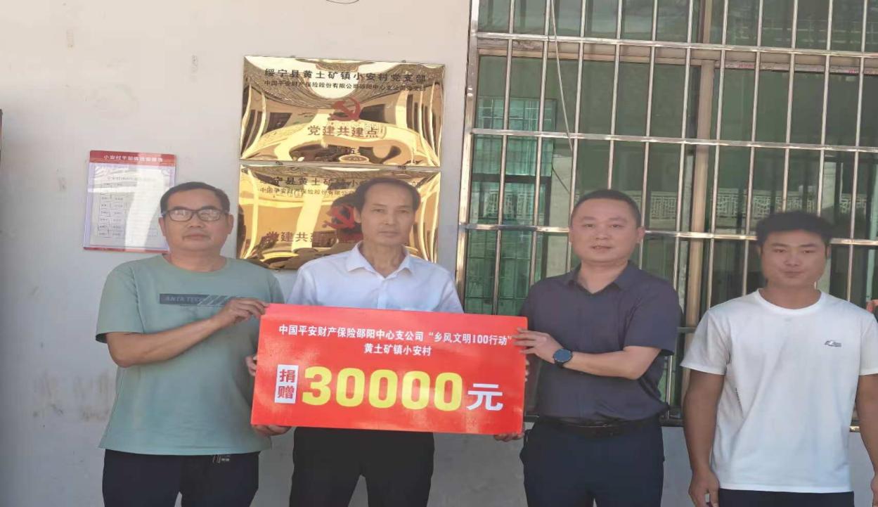 平安产险绥宁支公司开展乡风文明100行动