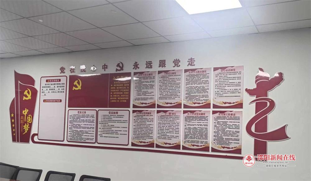 武冈市交通运输局：党建红引领交通兴，新兴领域党建激活发展新动能