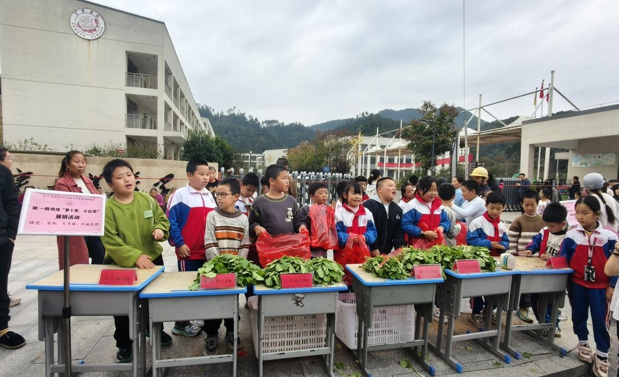 绥宁县芙蓉学校劳动教育基地举行首批绿色蔬菜展销活动
