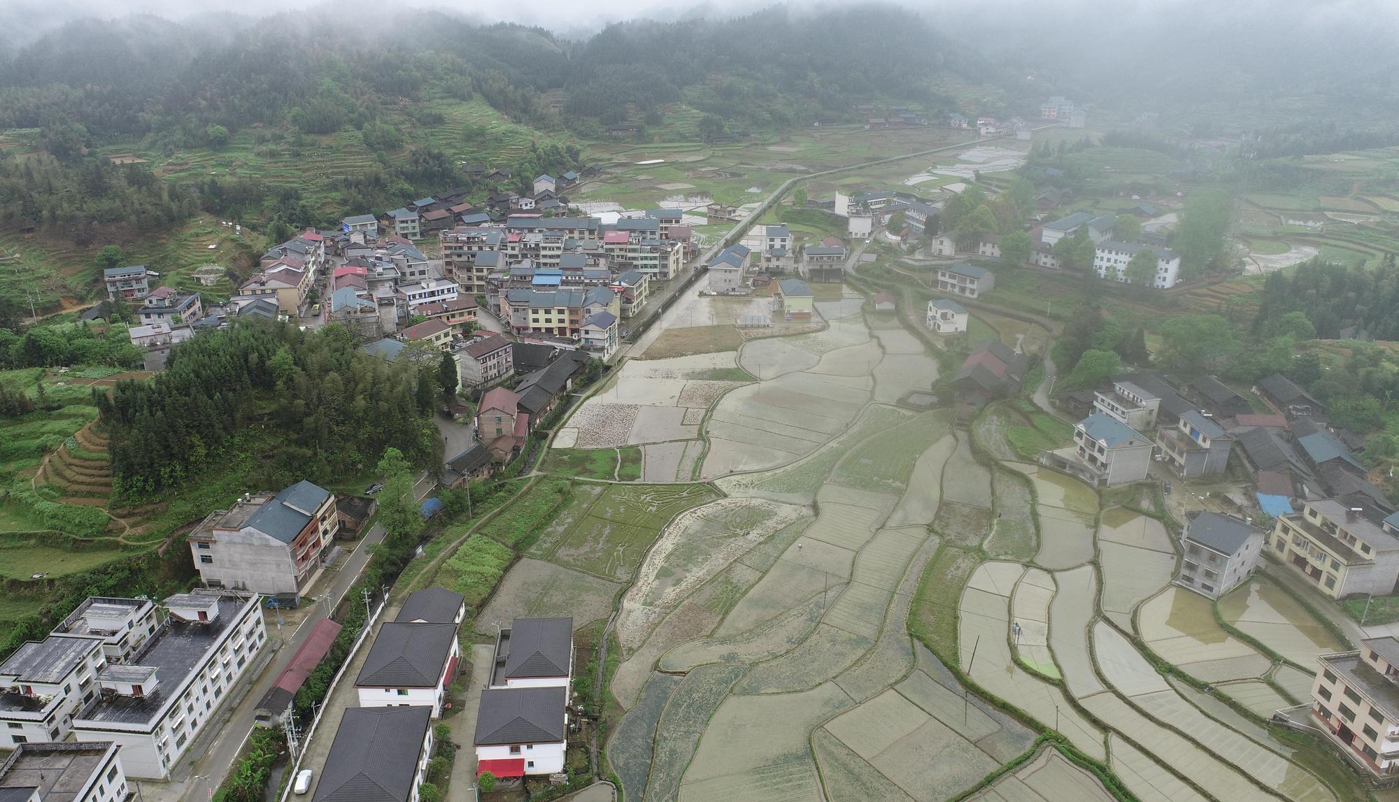 洞口：党群携手聚合力 乡村治理展新颜