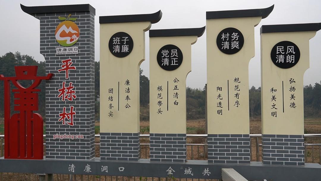 洞口县平栋村：聚焦“提质增效”年 绘就和美乡村新画卷