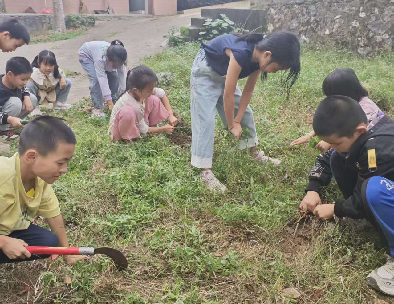 洞口县黄桥镇清风小学开展“除草”活动