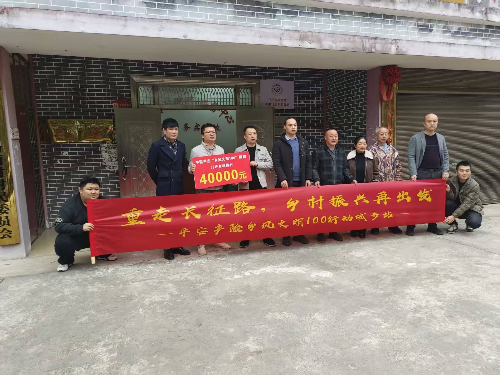 平安产险“乡风文明100行动”在城步汀坪乡杨梅村举行