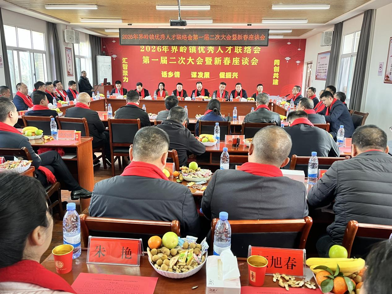 邵东市界岭镇：优才齐聚谋发展 同心聚力促振兴