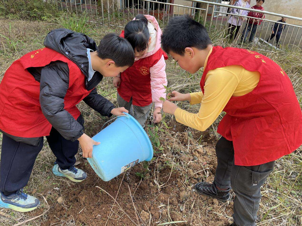 武冈市双牌镇中心小学开展植树节活动