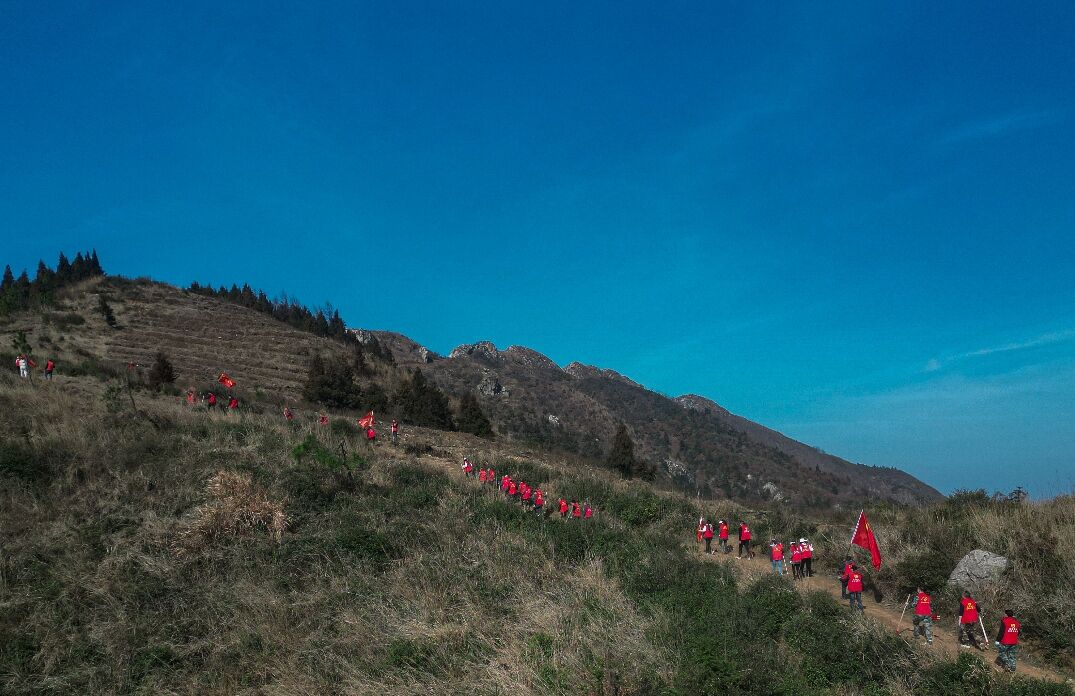 邵阳市堡面前乡组织开展义务植树活动