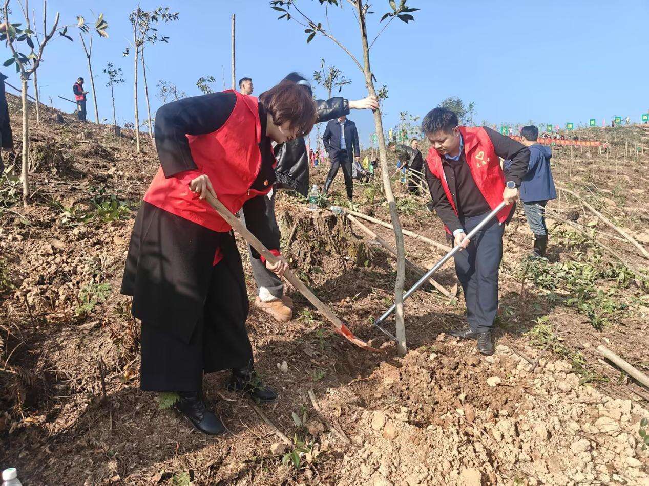 中国人寿财险新宁支公司：植树造林惠民生 党建引领树新风