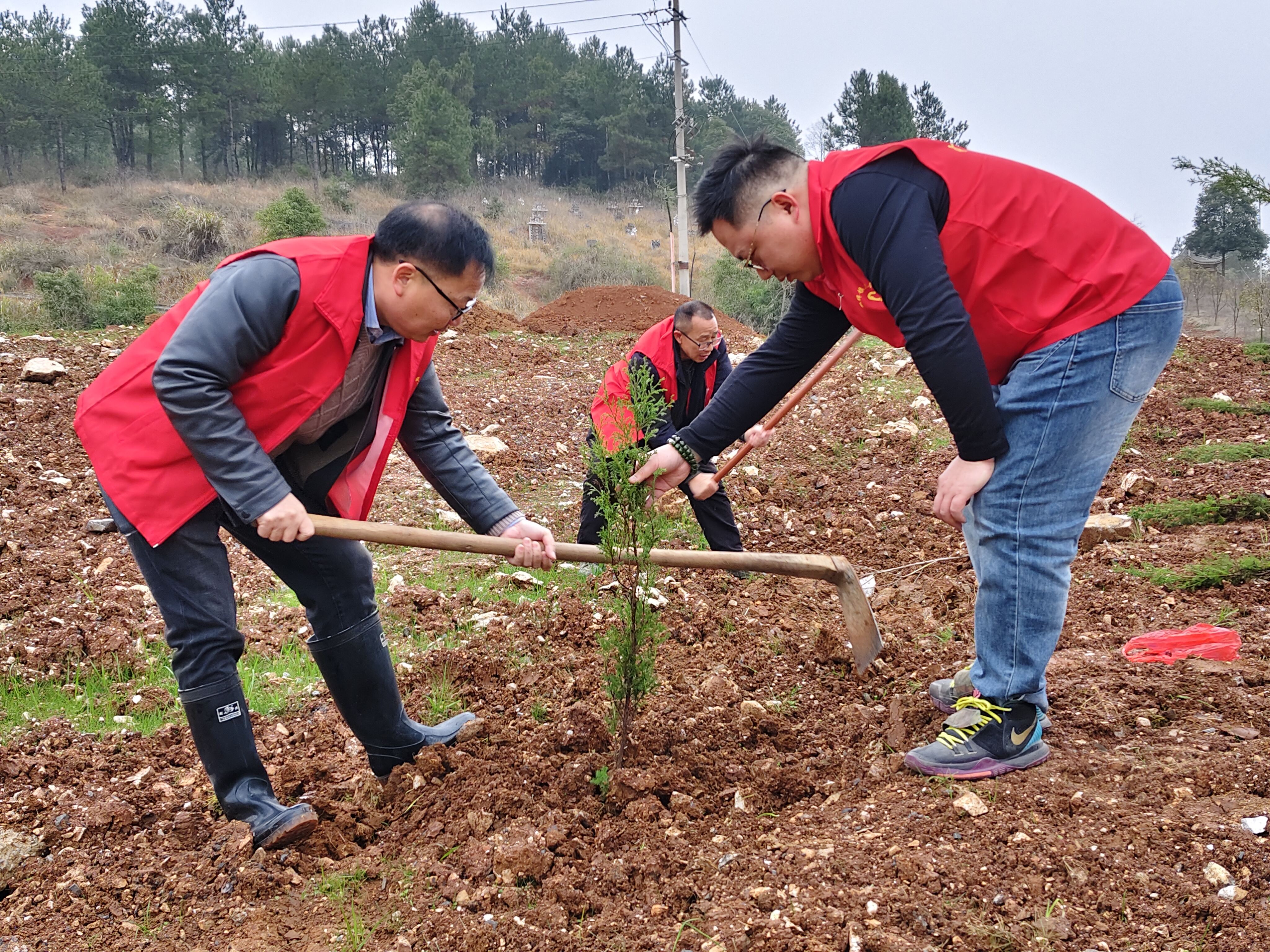 武冈市双牌镇：春风拂双牌 植绿启新章