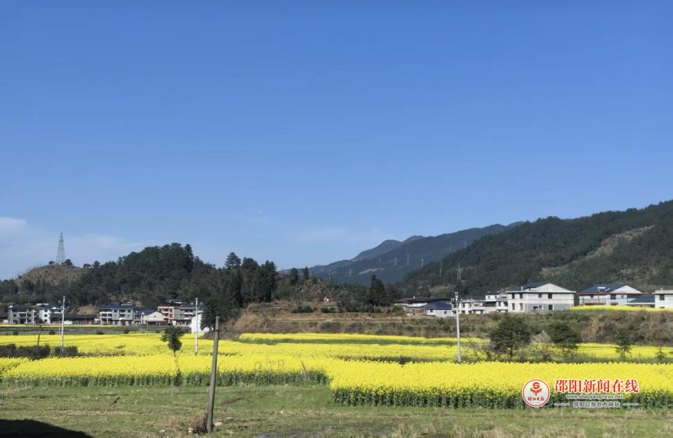 洞口县江口镇：党建引领绘就“花田富景”