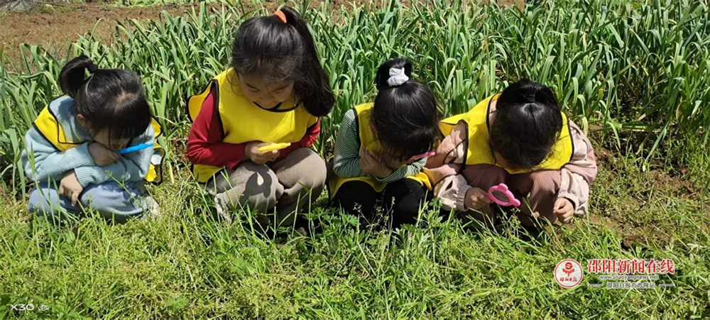 邵东市廉桥镇第二幼儿园开展清明节水牛花粑粑制作体验活动