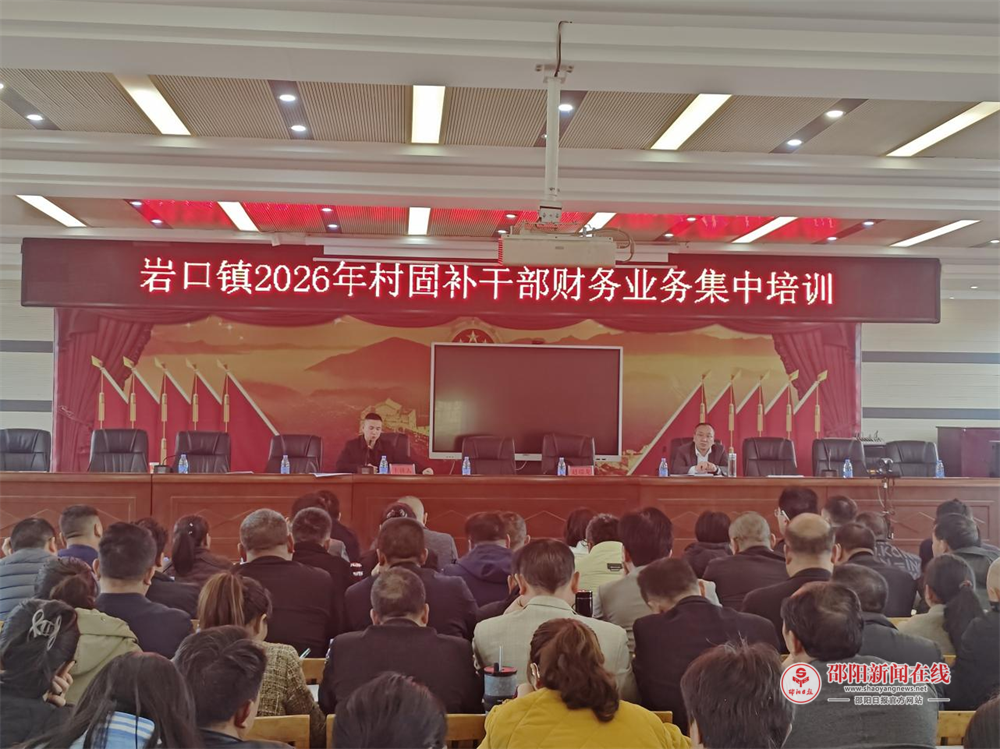 隆回县岩口镇召开村级财务培训会