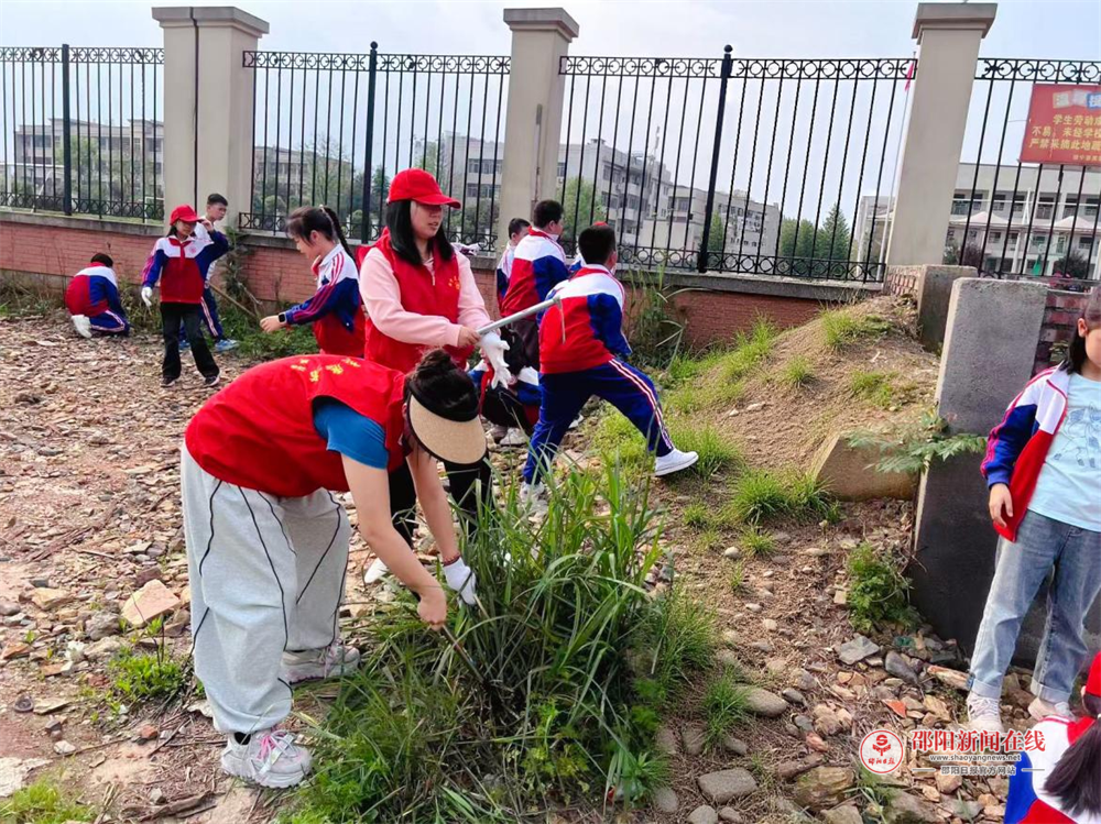 绥宁县芙蓉学校开展校园劳动实践活动