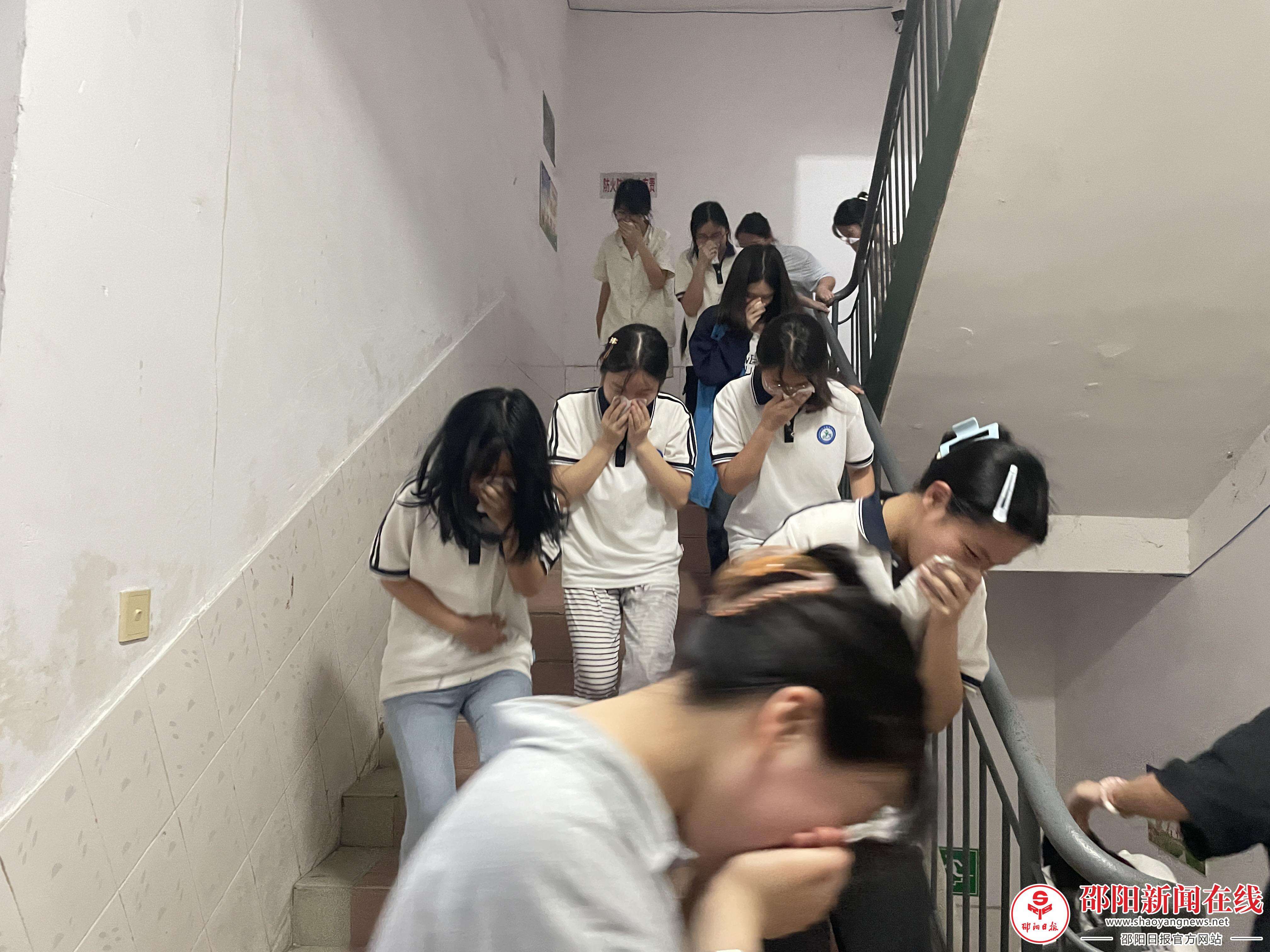 图片8
