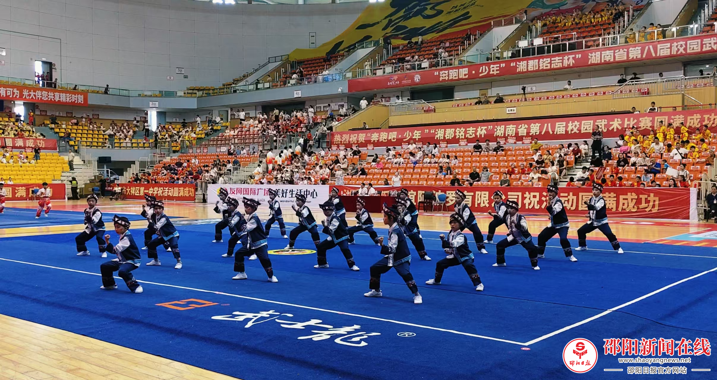 图片6