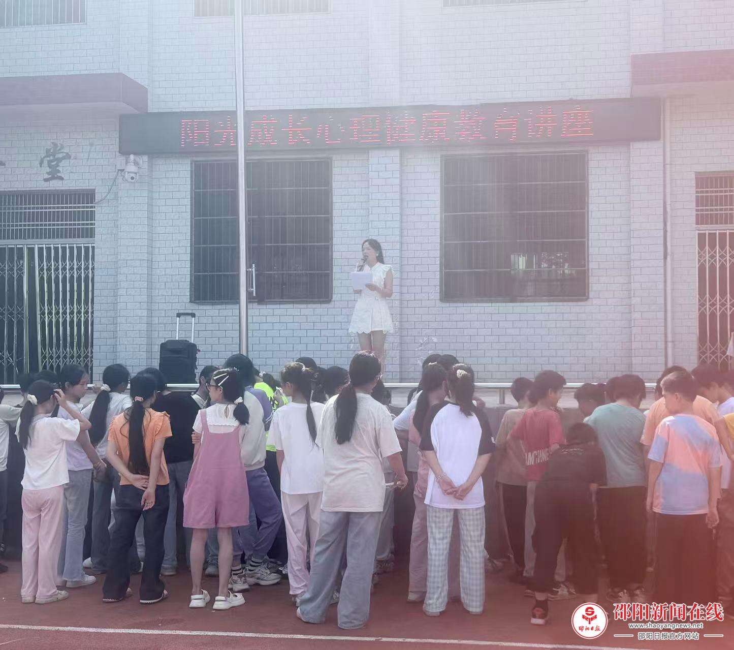 图片2