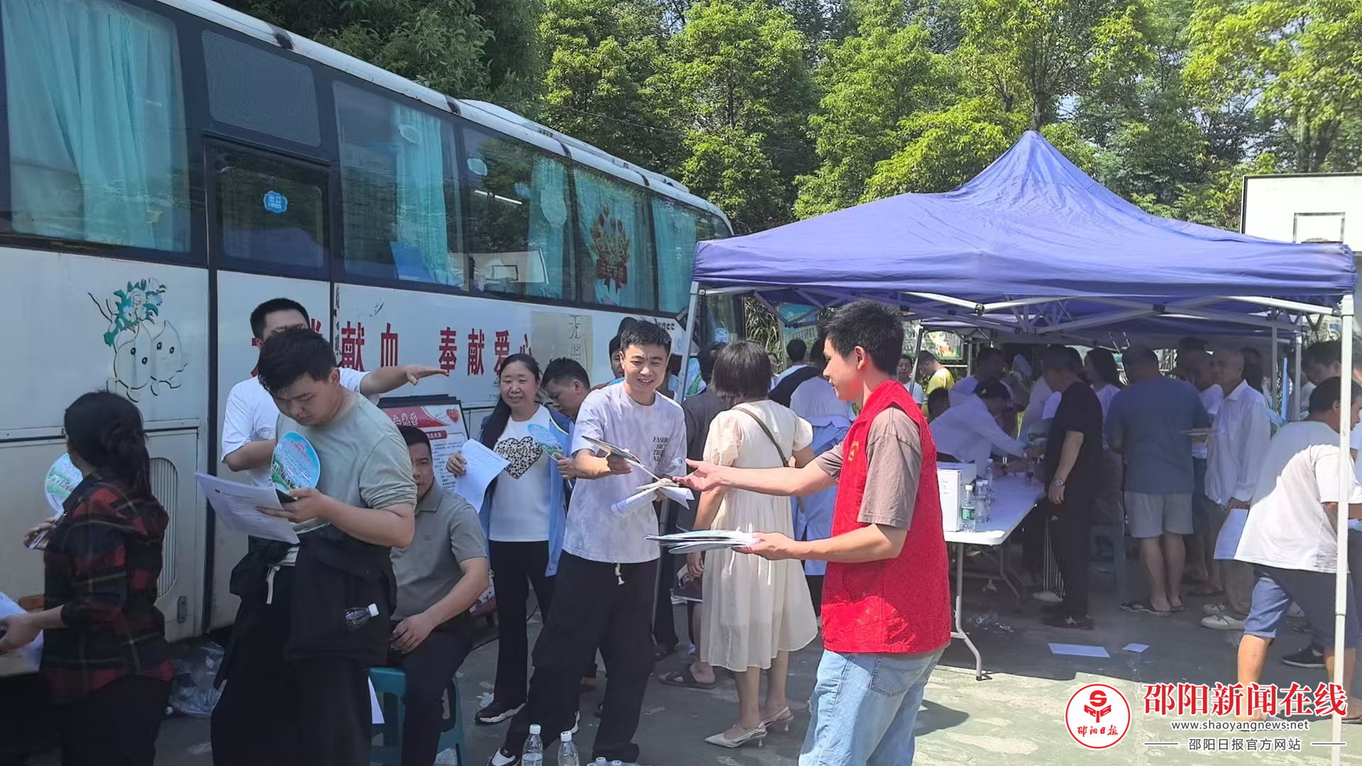 图片9