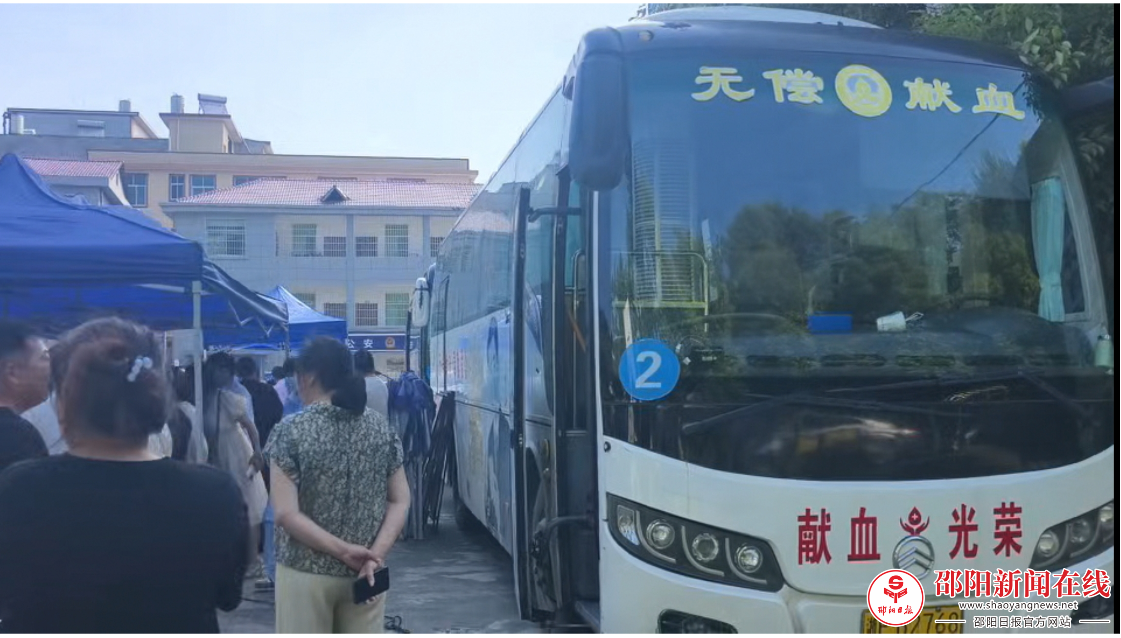 图片8