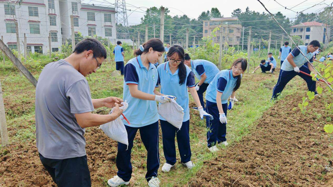 洞口县职业中专幼儿保育专业师生开展田间课堂劳动实践活动