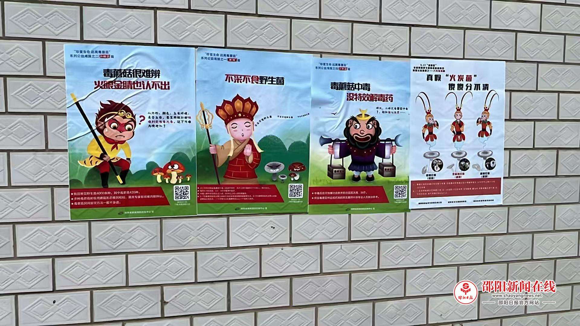 图片1