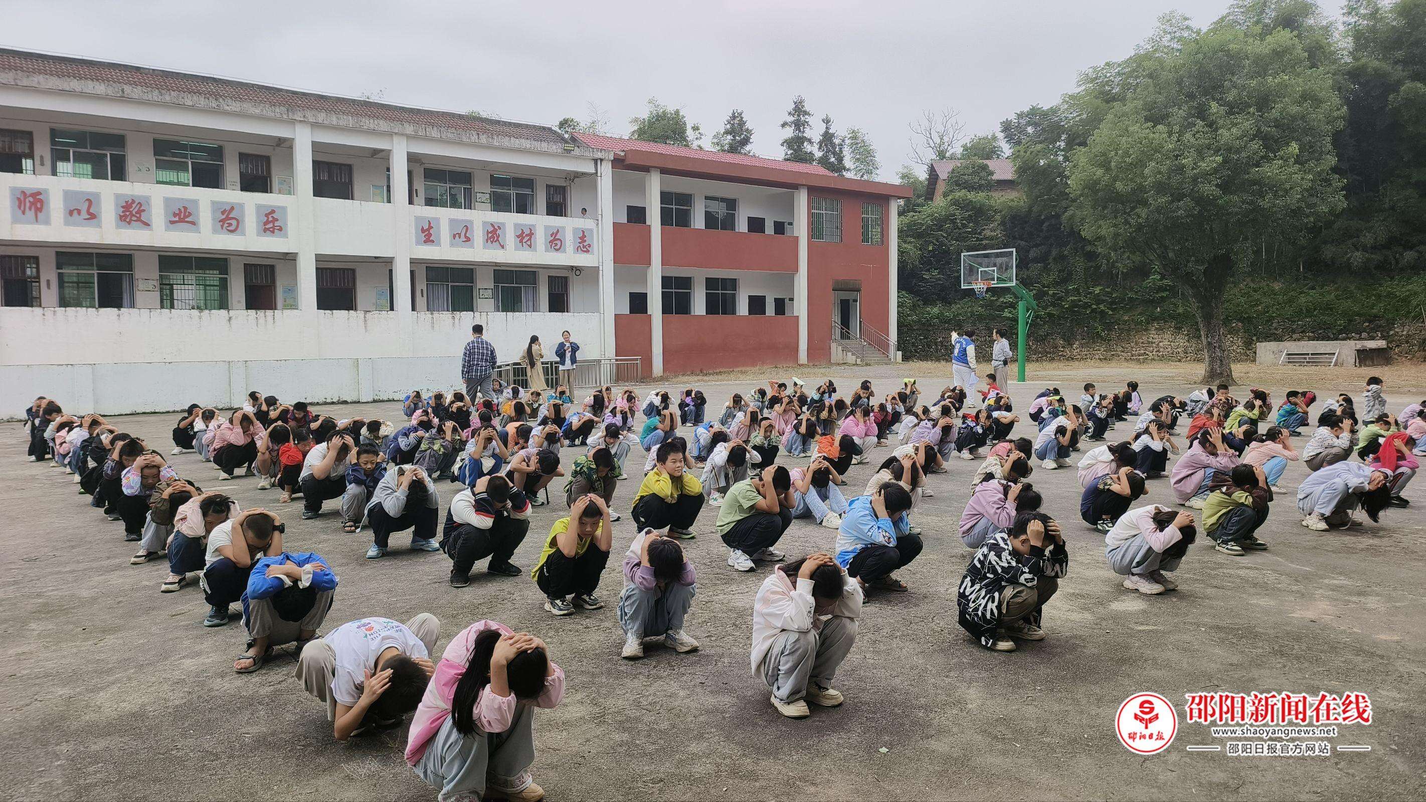 图片8
