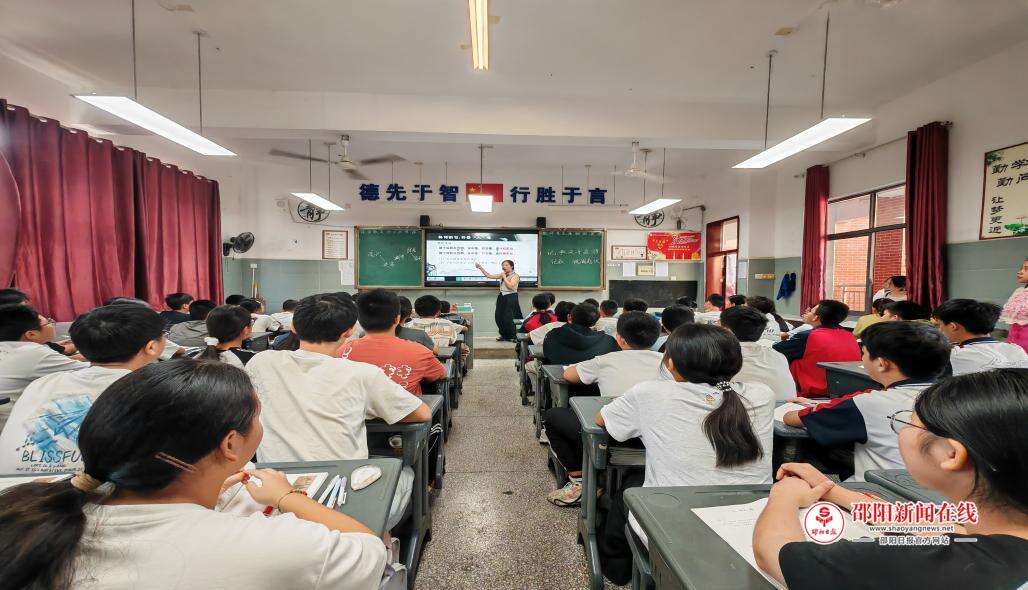 图片11