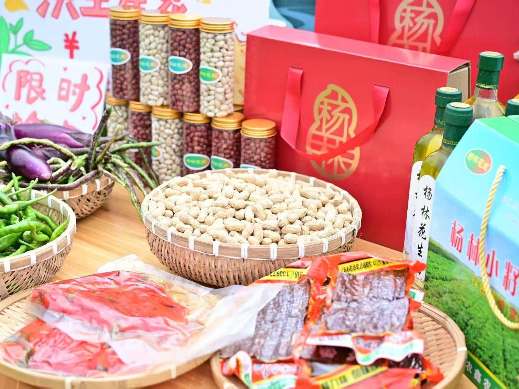 洞口县杨林镇：瘠土长出 “金豆子”，杨林小籽花生闯出富民路