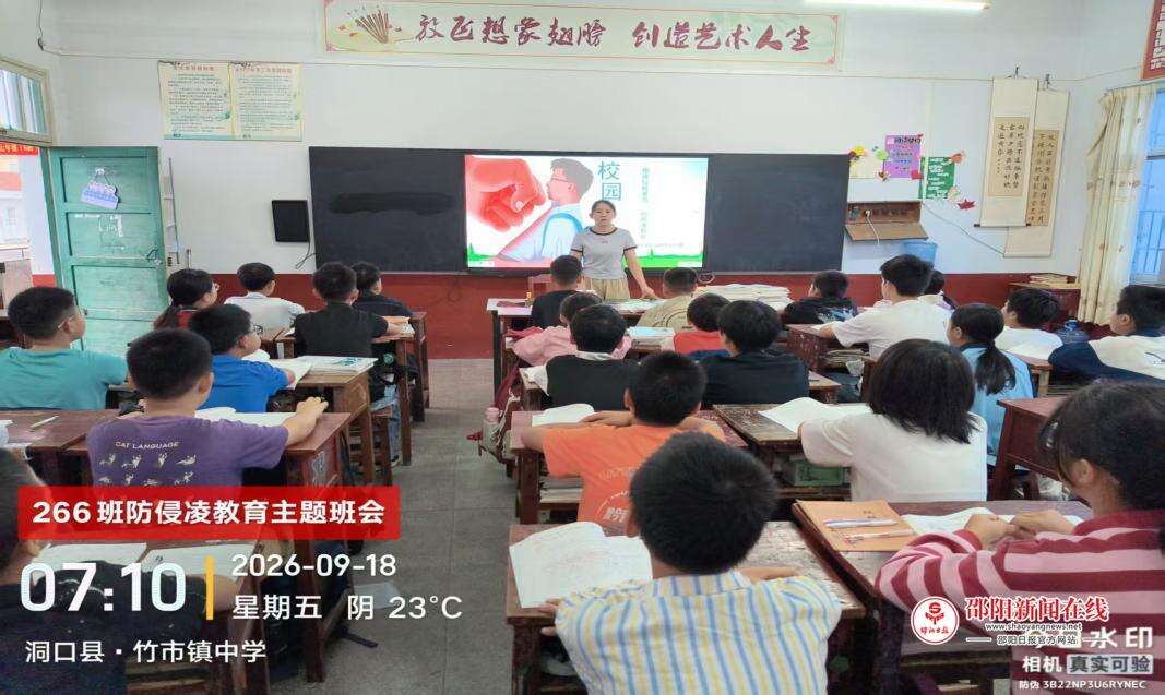 图片13