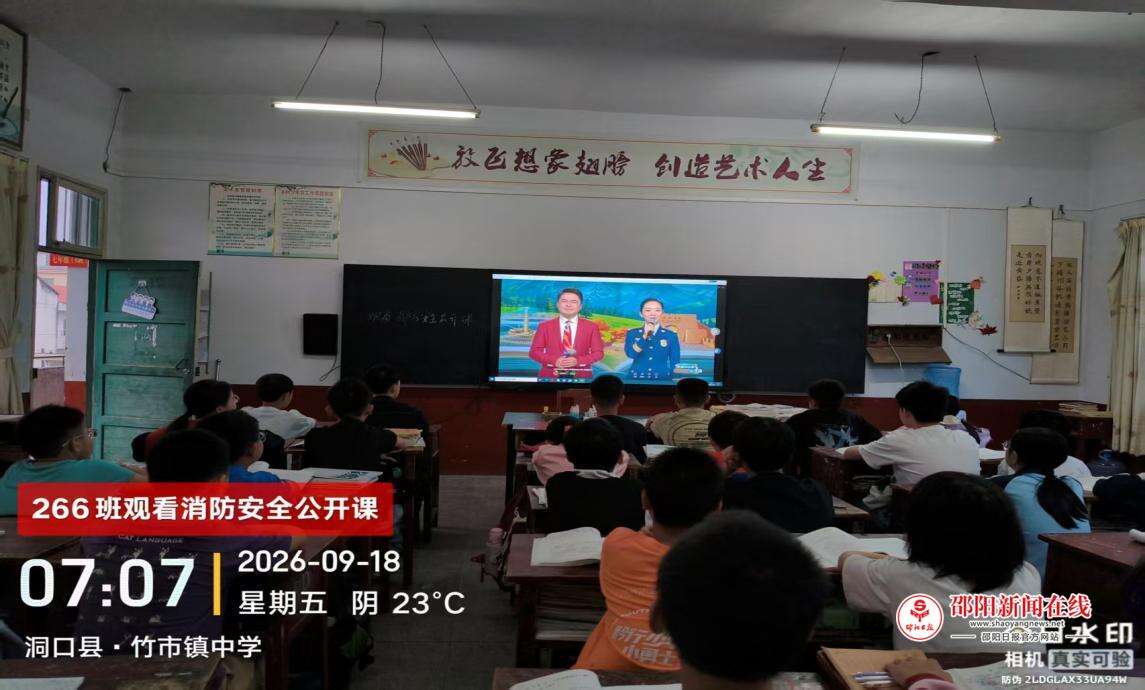 图片12