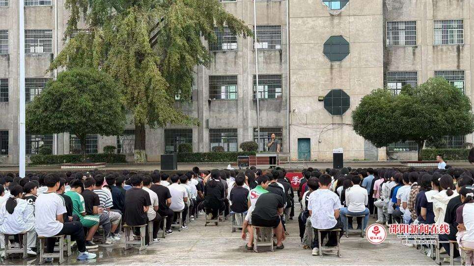 图片4