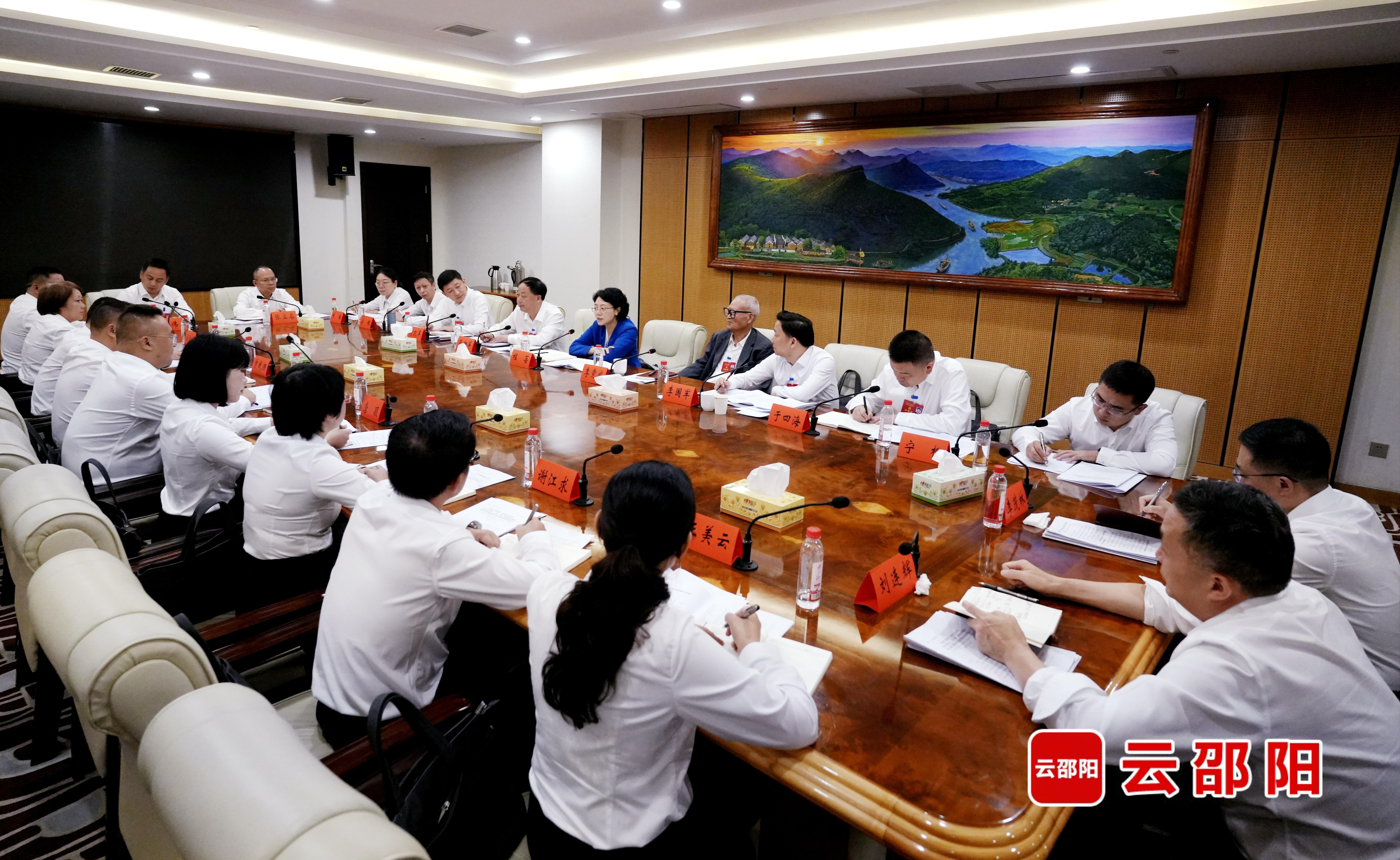 程蓓参加市第十三次党代会邵东市代表团讨论