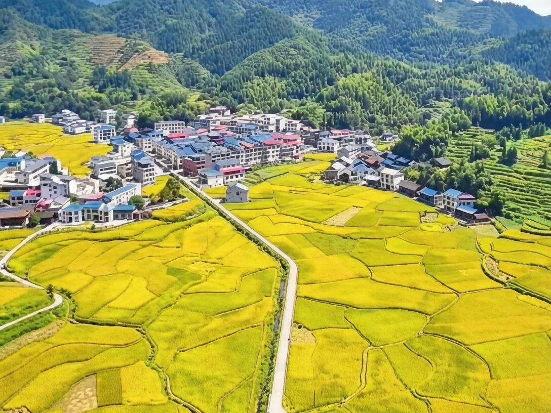 洞口县渣坪乡：党建引领“金满田” 红色护航“粮满仓”