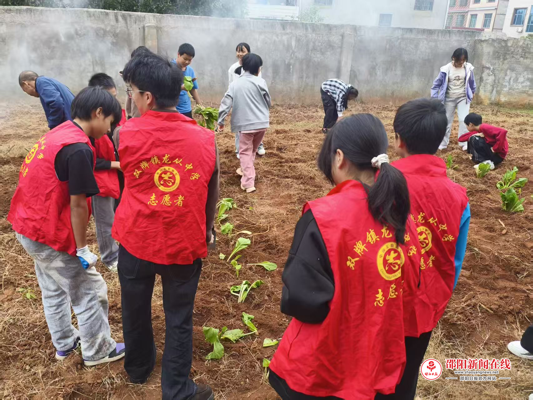 武冈市​龙从中学新时代文明实践劳动种植活动